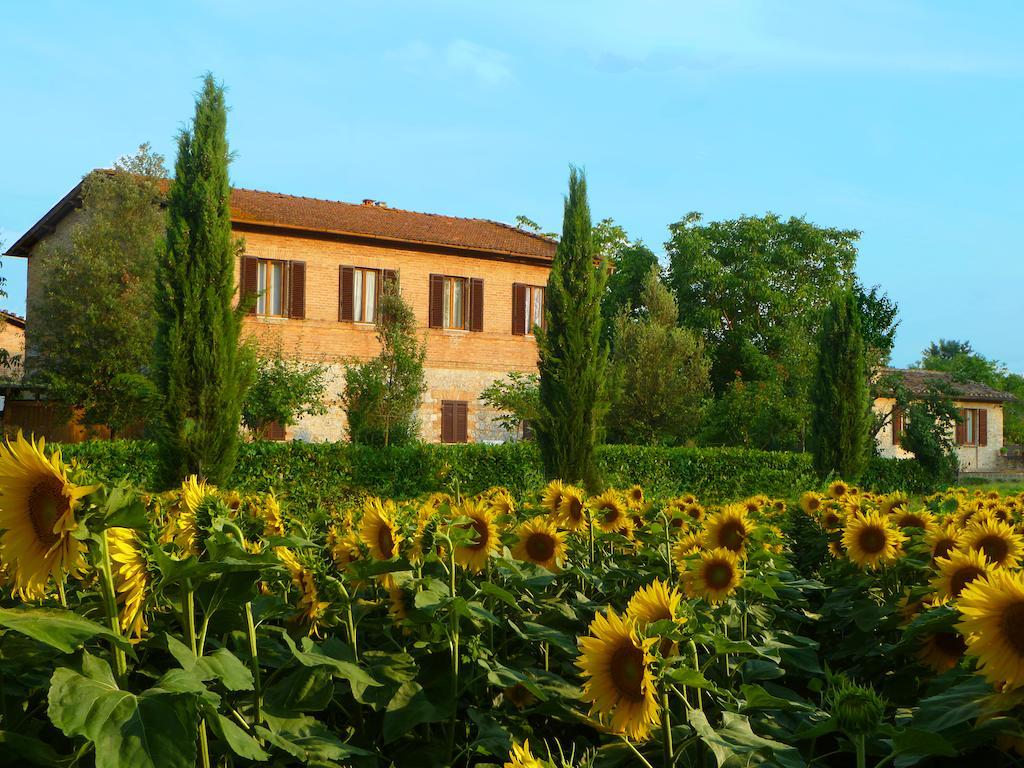 Agriturismo Santa Giuditta Sovicille Exterior photo